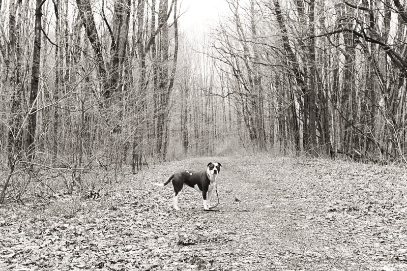 Illustration for article titled 2 rolls of tri-x 400